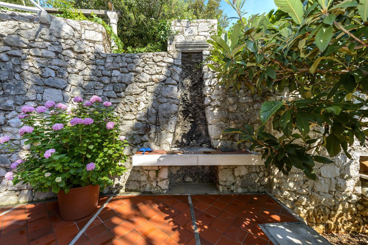 Two Palms Villa Zaton  Exterior photo